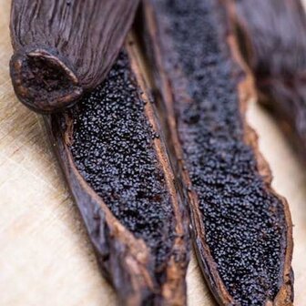 GRAND CRU 20 cm Bourbon vanillestokjes uit Madagaskar vanaf 3 stuks