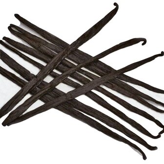 50 vanillestokjes Madagaskar Bourbon ESSENTIAL+ 18cm