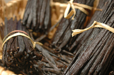 anillestokjes uit Madagaskar Bourbon premium