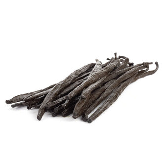 12 Vanillestokjes GRAND CRU 20cm uit Madagaskar &ndash; Bourbon Vanille met bewaarbuisje