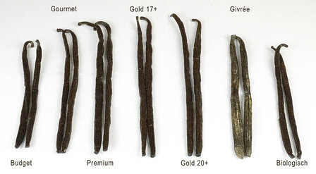 10 vanillestokjes Madagaskar Bourbon ESSENTIAL+ 18cm