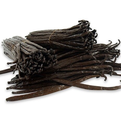 10 vanillestokjes Madagaskar Bourbon ESSENTIAL+ 18cm