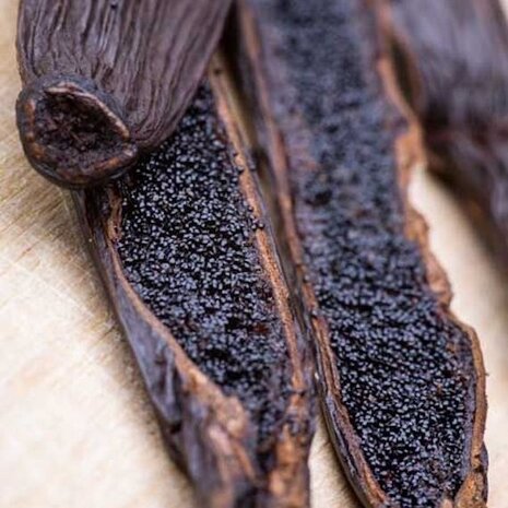 GRAND CRU 20 cm Bourbon vanillestokjes uit Madagaskar vanaf 3 stuks