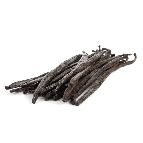 12 Vanillestokjes GRAND CRU 20cm uit Madagaskar – Bourbon Vanille met bewaarbuisje