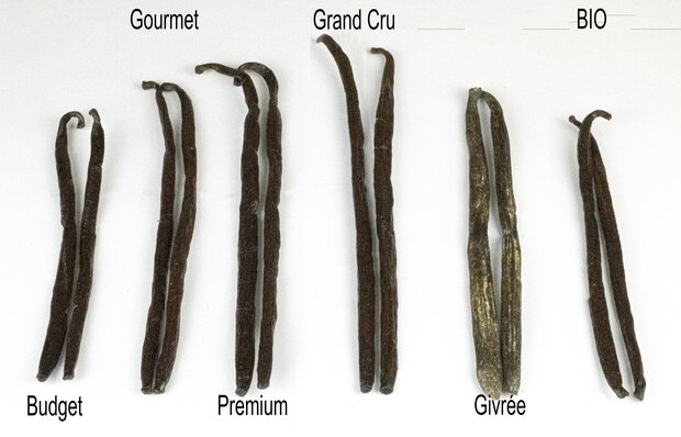 Vanillepeulen bourbon Madagaskar